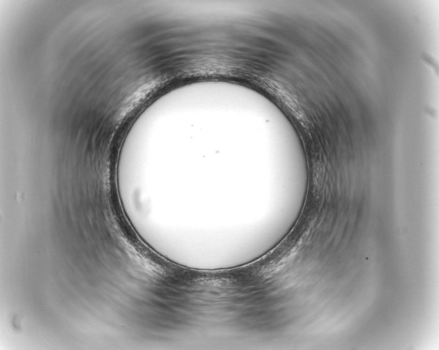 X0000093160629200710241021