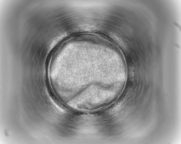 X0000093160630200710241021