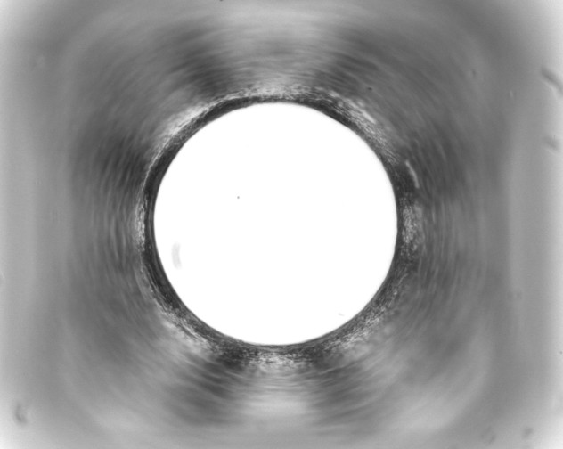 X0000093160632200710241021