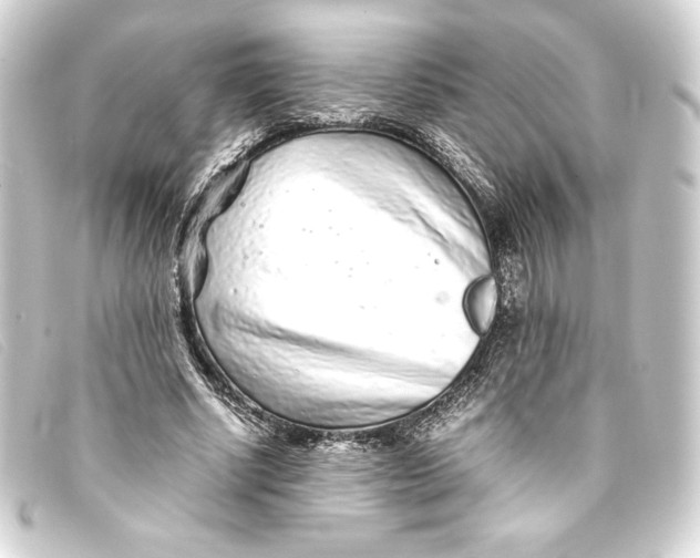 X0000093160634200710241021