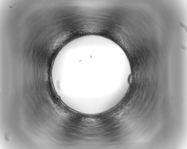 X0000093160635200710241021
