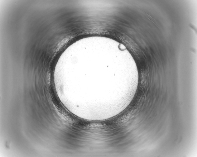 X0000093160636200710241021