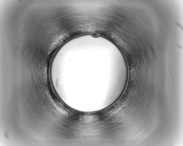 X0000093160638200710241021