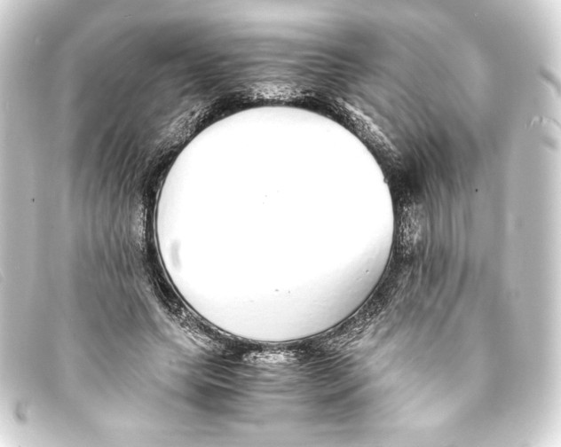 X0000093160639200710241021