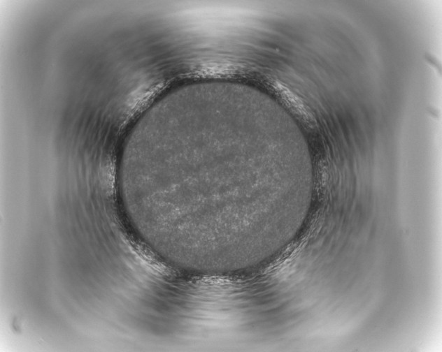 X0000093160640200710241021
