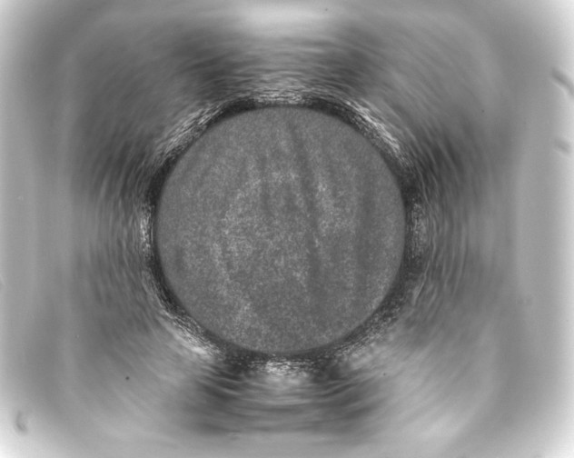 X0000093160641200710241021