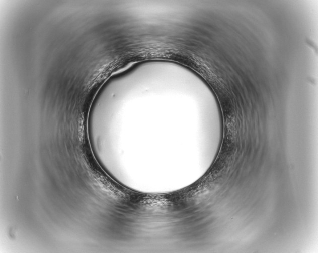 X0000093160642200710241021