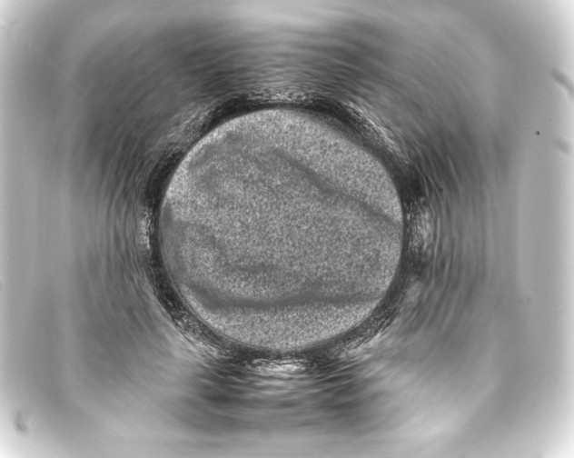 X0000093160643200710241021