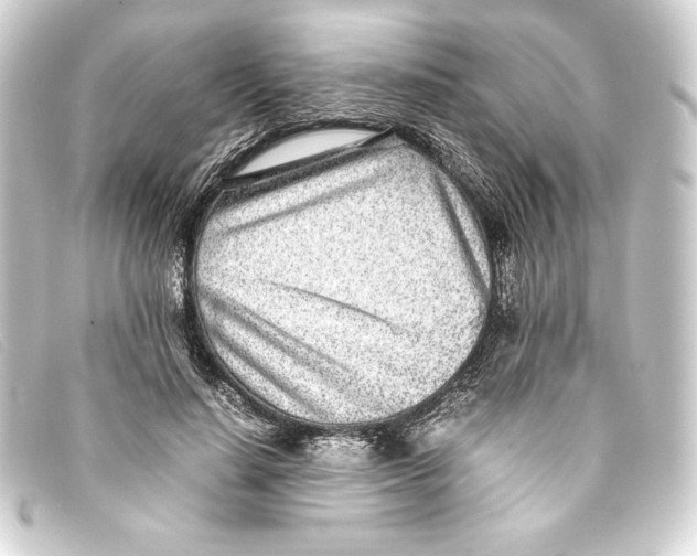 X0000093160644200710241021