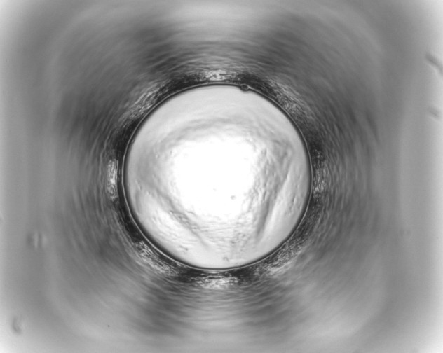 X0000093160646200710241021