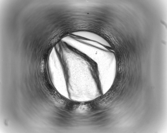 X0000093160647200710241021