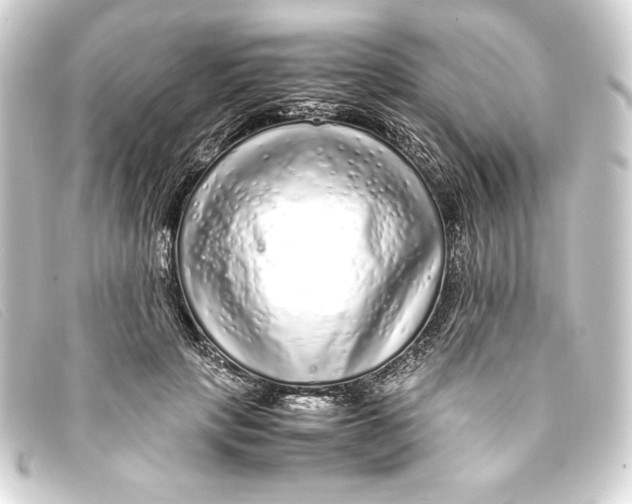 X0000093160649200710241021