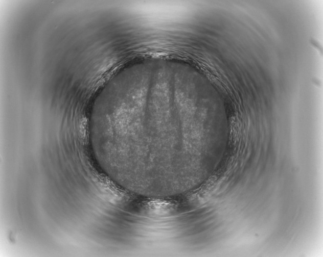 X0000093160650200710241021