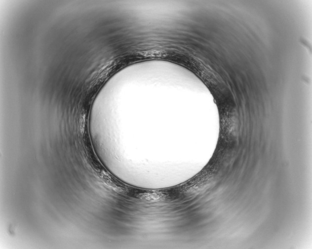X0000093160652200710241021