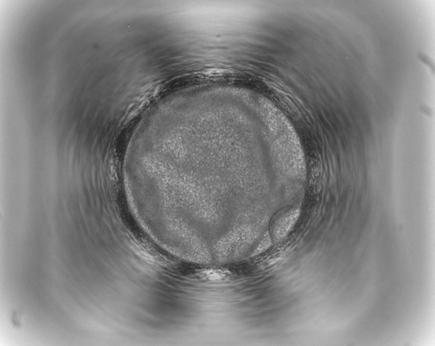 X0000093160654200710241021