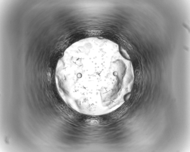 X0000093160655200710241021