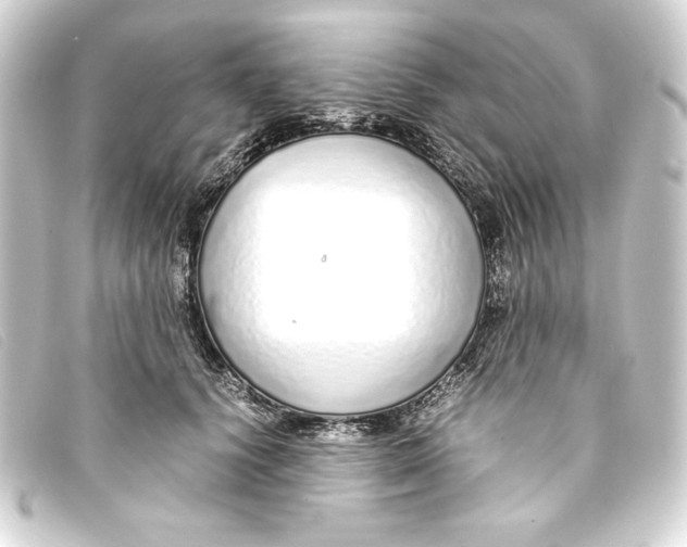 X0000093160656200710241021