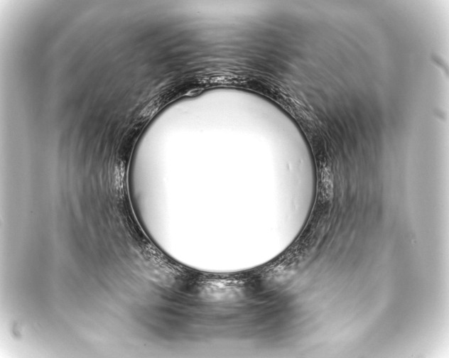 X0000093160657200710241021