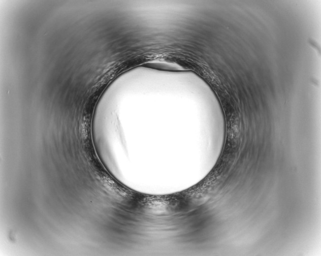 X0000093160658200710241021
