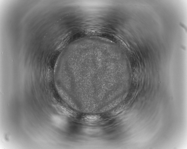 X0000093160659200710241021