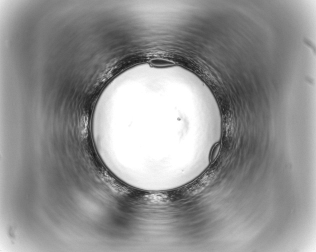 X0000093160660200710241021