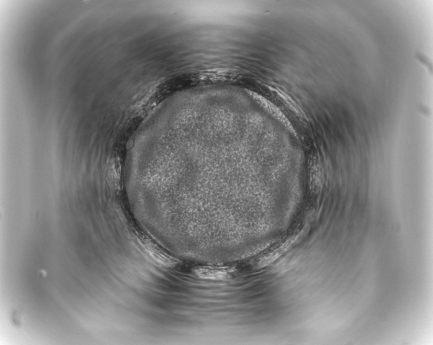 X0000093160661200710241021