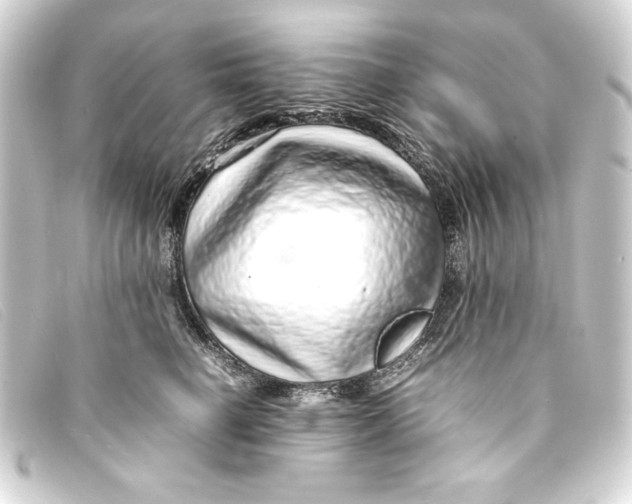 X0000093160662200710241021