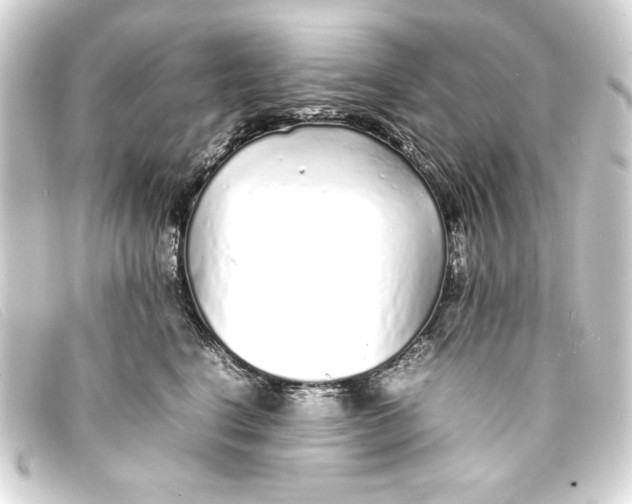 X0000093160664200710241021