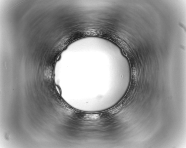 X0000093160665200710241021