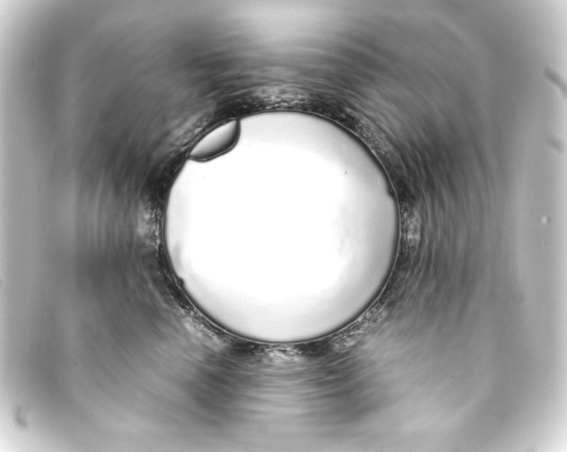 X0000093160666200710241021