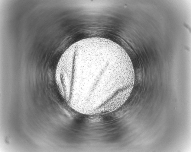 X0000093160667200710241021