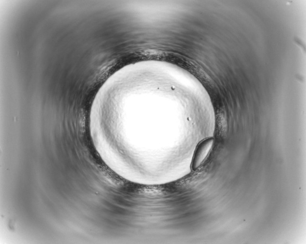 X0000093160668200710241021