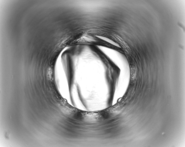 X0000093160669200710241021