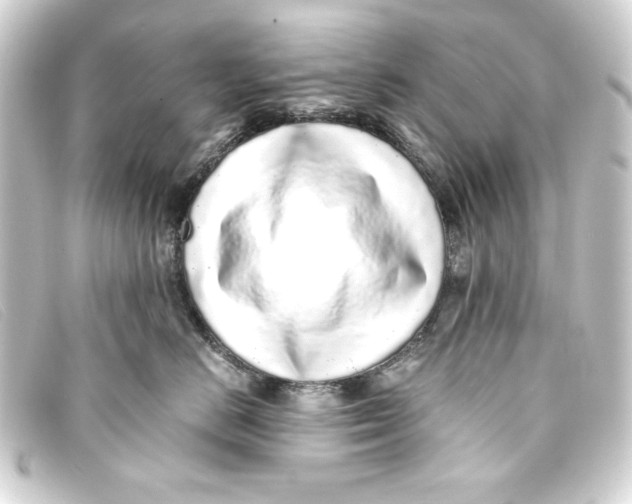 X0000093160670200710241021