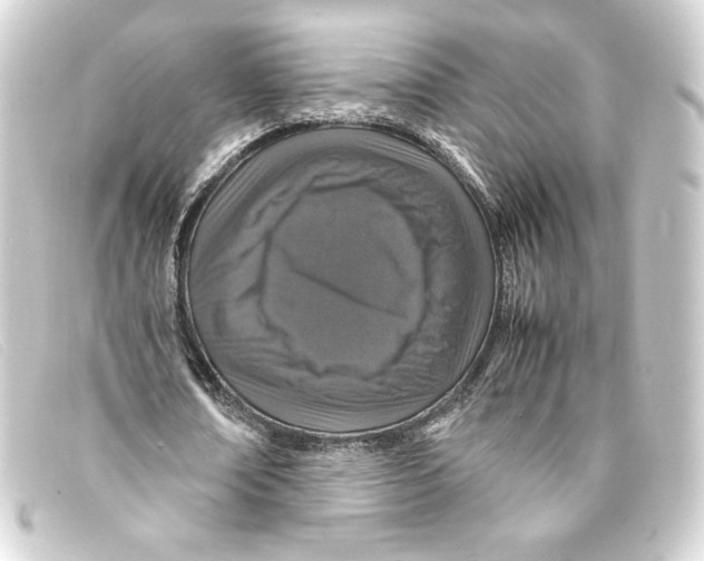X0000093160674200710241020