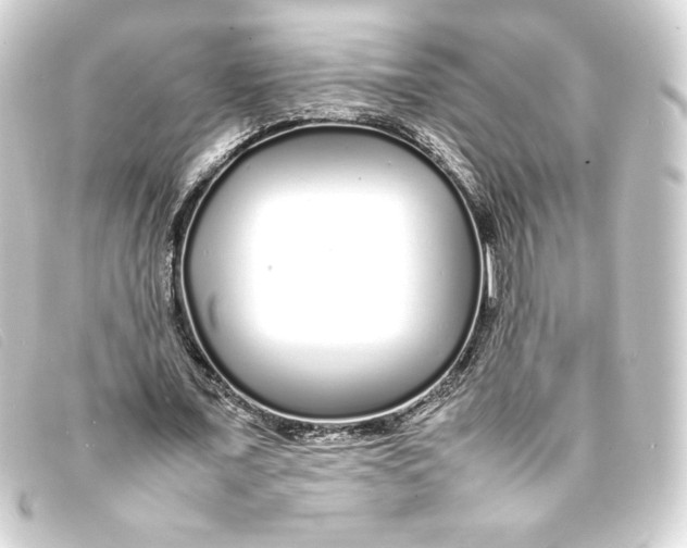 X0000093160675200710241020