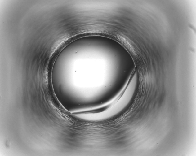 X0000093160676200710241020