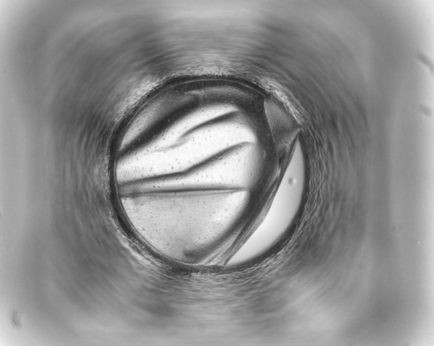 X0000093160677200710241020