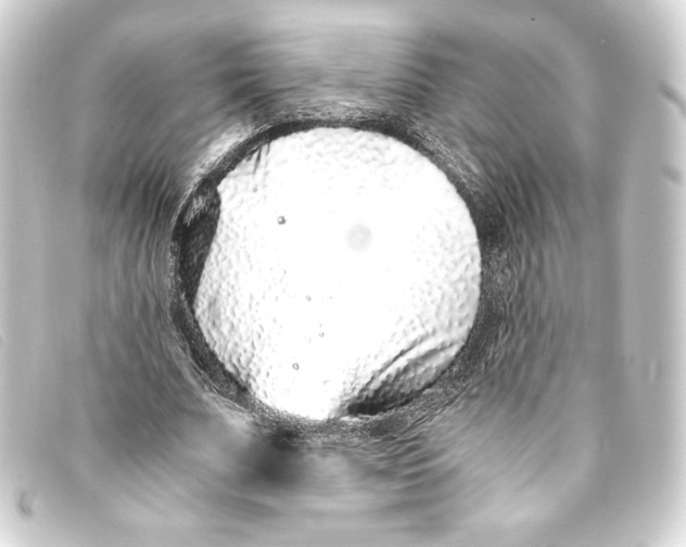X0000093160679200710241020