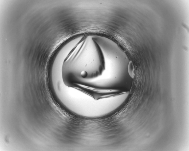 X0000093160680200710241020
