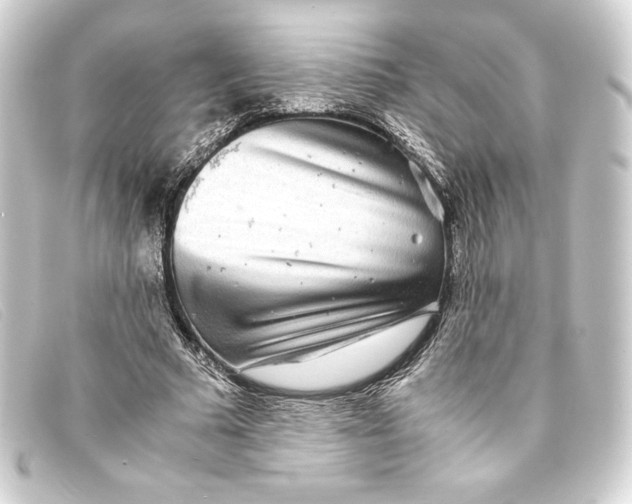 X0000093160681200710241020