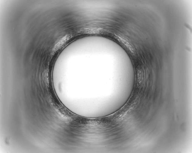 X0000093160682200710241020