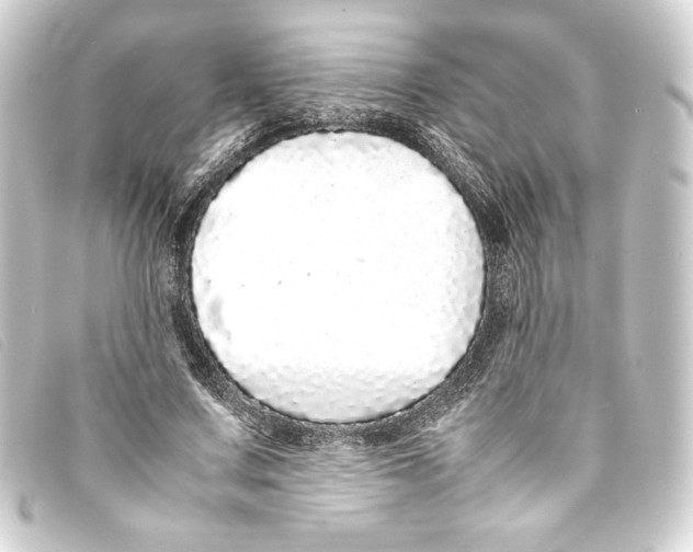 X0000093160683200710241020