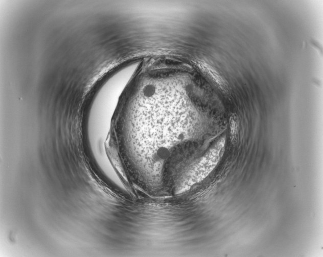 X0000093160684200710241020