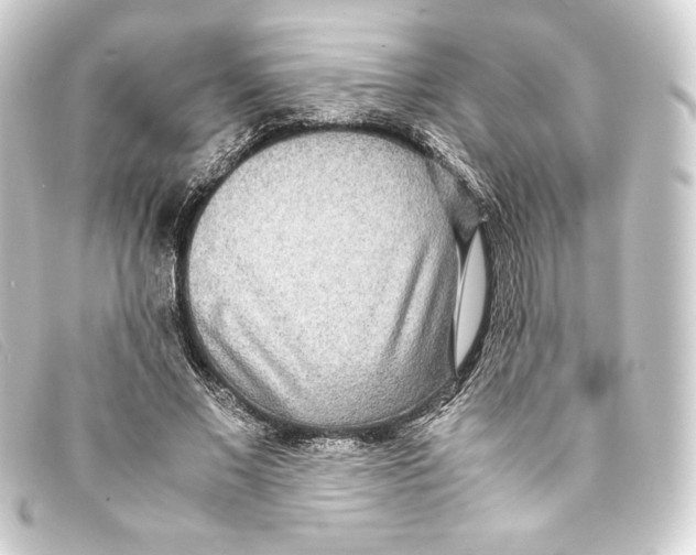 X0000093160685200710241020