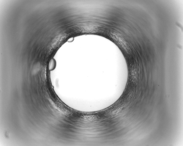 X0000093160686200710241020