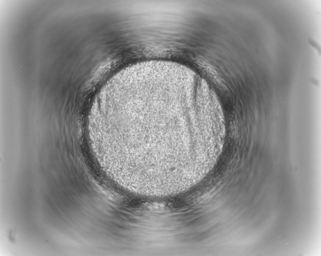 X0000093160687200710241020