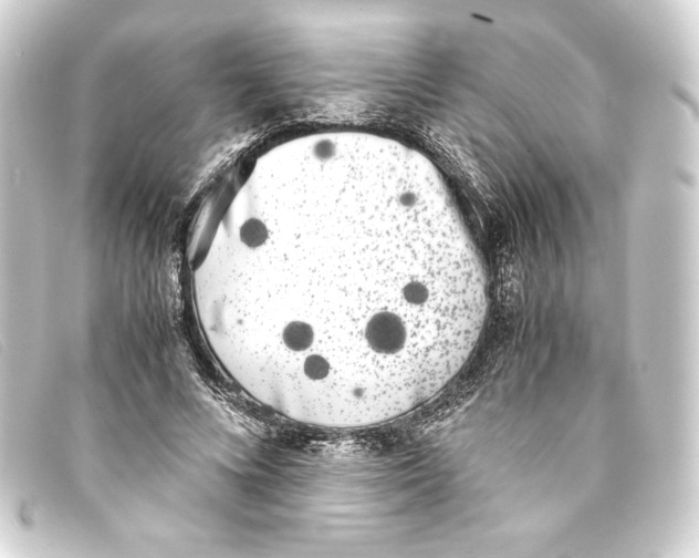 X0000093160688200710241020