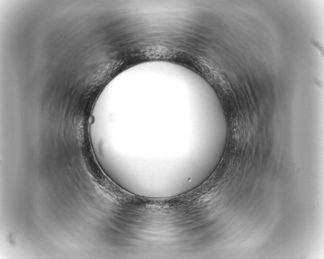 X0000093160690200710241020