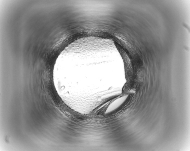 X0000093160691200710241020